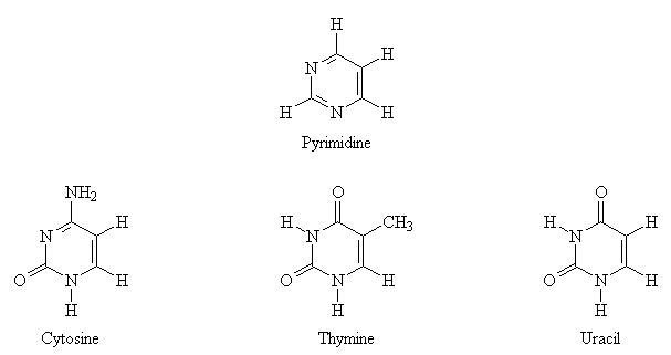 Pyrimidine Bases
