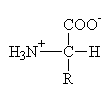 General L-Amino acid