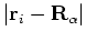 $\vert{\bf r}_i - {\bf R}_\alpha\vert$