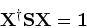 \begin{displaymath}
{\bf X}^\dagger{\bf S}{\bf X} = {\bf 1}
\end{displaymath}